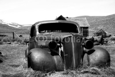 Wallmonkeys Peel and Stick Wall Decals - Rust Bucket - 24