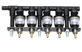 Zoom Produkt-Bild: Keihin Einspritzrail Prins VSI 5-Zyl - Braun 100cc (ab 32.5KW / Zyl.)