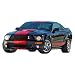 Revell 1:25 `07 Shelby GT500