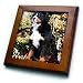 Dogs Bernese Mountain Dog - Bernese Mountain Dog - Framed Tiles