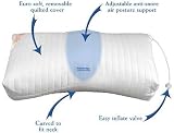 41hLqRX3CAL. SL160  Contour European Anti Snore Pillow