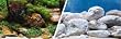 Marina Seaview Background 18"x25', Aquatic Garden/Bright Stone
