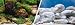 Marina Seaview Background 18"x25', Aquatic Garden/Bright Stone