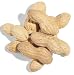 Unsalted Peanuts in the Shell 25 lbs