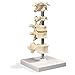 3B Scientific A75 6 Mounted Vertebrae Model, 8.7
