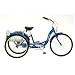 Schwinn Meridian Adult 26-Inch 3-Wheel Bike (Blue)