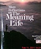 More reflections on the meaning of life