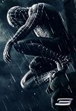 Spiderman 3 - Advance Movie Poster (Black Suit - 27