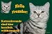 Garten & Freizeit : Metall - Warnschild, Schild British Shorthair, Hauskatze silver tabby, getigert