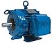 WEG Electric, 02018AT3HCT256T-W22, 20HP, 1800RPM, 3PH, 575V, 256T Frame, Standard Flange, Foot Mount, TEAO, Cooling Tower Duty Motor.