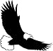 Nature Silhouette Wall Decals - Bald Eagle In Flight Silhouette - 24 inch Removable Graphic