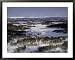 Kamchatka Landscape, Russia Framed Art Poster Print by Michael Brown, 39x31