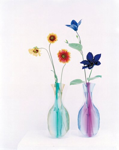 D-BROS/フラワーベース　Hope Forever Blossoming 807F-JG