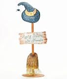 Broom Flying Lessons