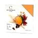 American Crafts 12-Inch by 12-Inch Cardstock Variety Pack, Autumn