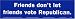 Friends Don't Let Friends Vote Republican. Magnetic Bumper Sticker
