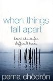 When Things Fall Apart: Heart Advice for Difficult Times