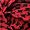 Red & Black