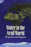 Water in the Arab world : perspectives and prognoses