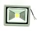 GLW 20W LED Floodlight Warm White Waterproof 110V AC Flood Light 10W 12V DC White Waterpoof Outdoor Security Floodlight 100W Halogen Equivalent