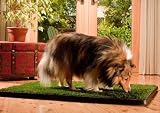 Pup-Head Portable Dog Potty - Regular Size 20" x 30" Pup-Head Portable Dog Potty - Regular Size 20" x 30"