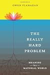 The Really Hard Problem: Meaning in a Material World (Bradford Books)