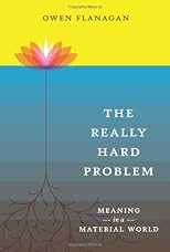 The Really Hard Problem: Meaning in a Material World (Bradford Books)