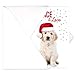 Canopy Street Labrador Love Holiday Card Pack / 25 Cards And Envelopes Pack/Festive Santa Hat Puppy Design With Greeting Inside/Dog Christmas And New Year Cards