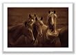 Bad Girls by Tony Stromberg 16"x24" Art Print Poster
