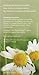 Numi Organic Tea  Chamomile Lemon, Herbal Teasan, 18 Count Tea Bags