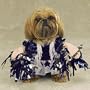 MEDIUM - SPIRIT PAWS - Pet Halloween Costume [Misc.] [Misc.]