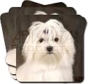 MALTESE DOG Birthday Gifts Set of 4 Leather Coasters