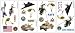 ARMED FORCES APPLIQUES PEEL AND STICK