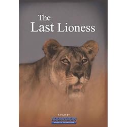 The Last Lioness