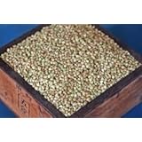 ���i�̏ڍ�