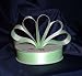 Ribbon - Satin Ribbon- 7/8" Double Face 50 Yards (150 FT) - Pastel Green - Sewing - Craft - Wedding Favors