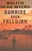 Sunrise Over Fallujah