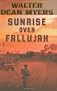 Sunrise Over Fallujah