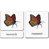 Butterfly 3-Part Reading Cards ~ Maitri Learning
