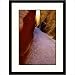 Dry Fork Coyote Gulch, Escalante, Utah Framed Photograph - David Wasserman Frame Finish: Mahogany, Size: 30 x 23