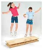 Abilitations 107335994 Springboard - 2-Child Bouncer