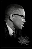 Malcolm X (Brotherhood) Art Poster Print - 24 X 36