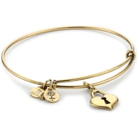Alex And Ani Bangle Bar Key to My Heart Bangle