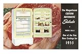 Shelvador Refrigerator Collections Premium Poster Print, 8x12