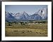 Jackson Lake Lodge Has a Magnificent View Across Jackson Lake Toward the Tetons Framed Art Poster Print by Joseph Baylor Roberts, 39x31