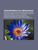 Angiospermas No Amenazadas: Glaucium Cor: Glaucium corniculatum, Banksia integrifolia, Sedum telephium, Banksia serrata, Liquidambar styraciflua, ... Ariocarpus retusus, Atriplex amnicola