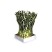 Grass Votive - Green