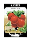 Radish Seed Packet Artwork Fridge Magnet