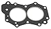 Sierra 18-2961 Marine Head Gasket for Johnson/Evinrude Outboard Motor