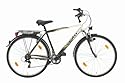 Texo Trekking Fahrrad 28 Herren 21-Gang Shimano Kettenschaltung, gefederte Sattelst&iquest;tze